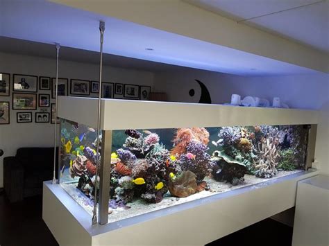 Aquarium Betway