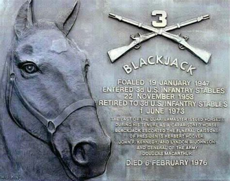 Blackjack caballo kennedy