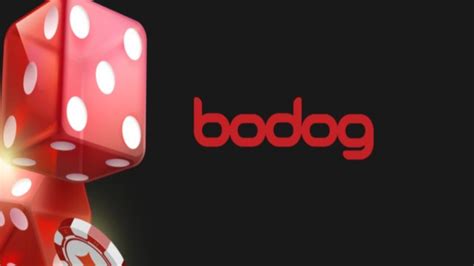 Bodog entrar