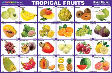Tropical 7 Fruits bet365